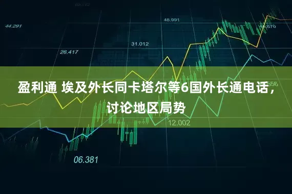 盈利通 埃及外长同卡塔尔等6国外长通电话，讨论地区局势
