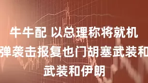 牛牛配 以总理称将就机场导弹袭击报复也门胡塞武装和伊朗