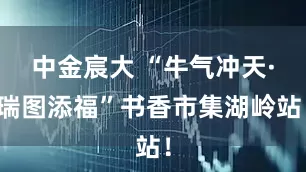 中金宸大 “牛气冲天·瑞图添福”书香市集湖岭站！